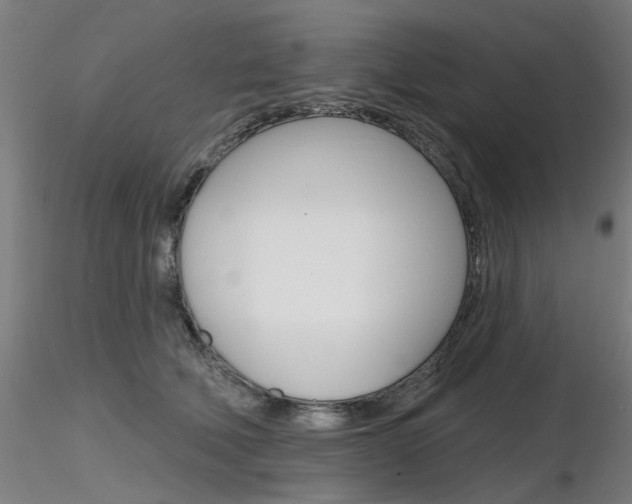 X0000116850610200912220943