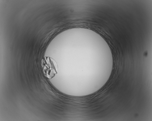 X0000116850611200912220943