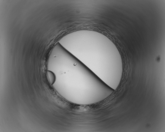 X0000116850612200912220943