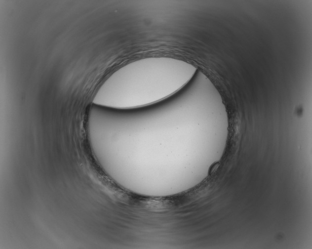 X0000116850615200912220943