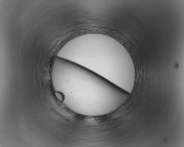 X0000116850616200912220943