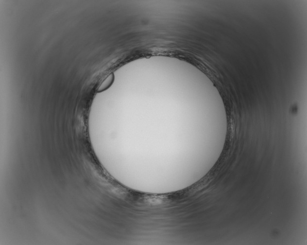 X0000116850618200912220943