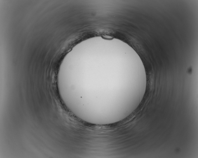 X0000116850619200912220943
