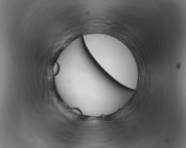 X0000116850620200912220943