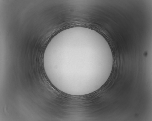 X0000116850621200912220943