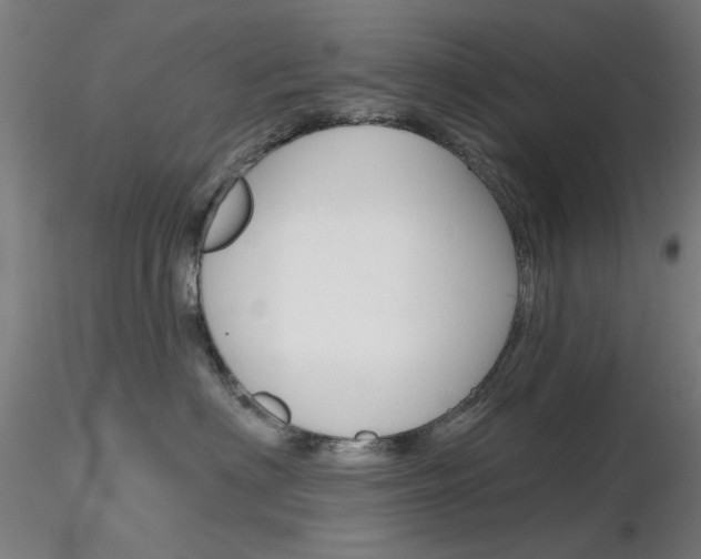 X0000116850622200912220943