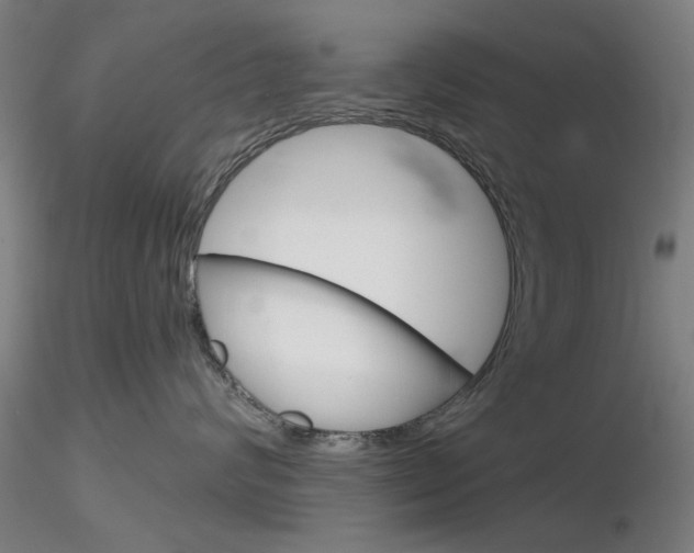 X0000116850624200912220943