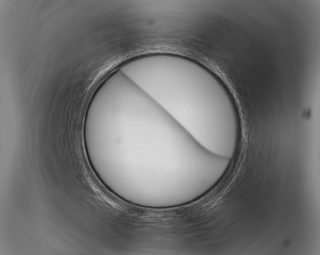 X0000116850625200912220942
