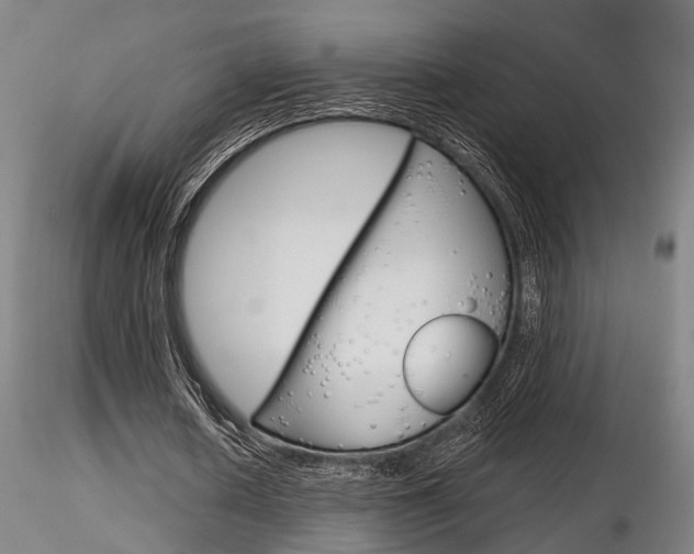X0000116850626200912220942