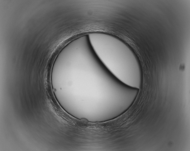 X0000116850627200912220942