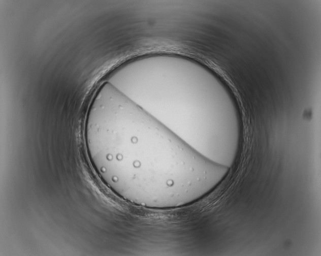 X0000116850629200912220942