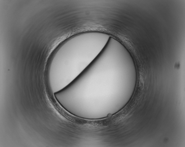 X0000116850630200912220942