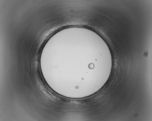 X0000116850632200912220942