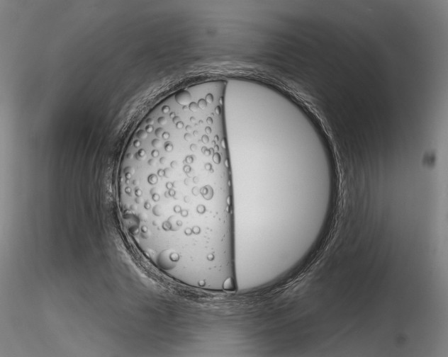 X0000116850633200912220942