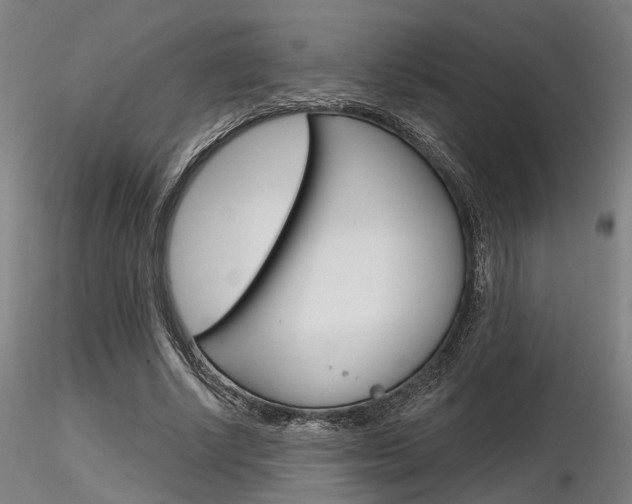 X0000116850634200912220942