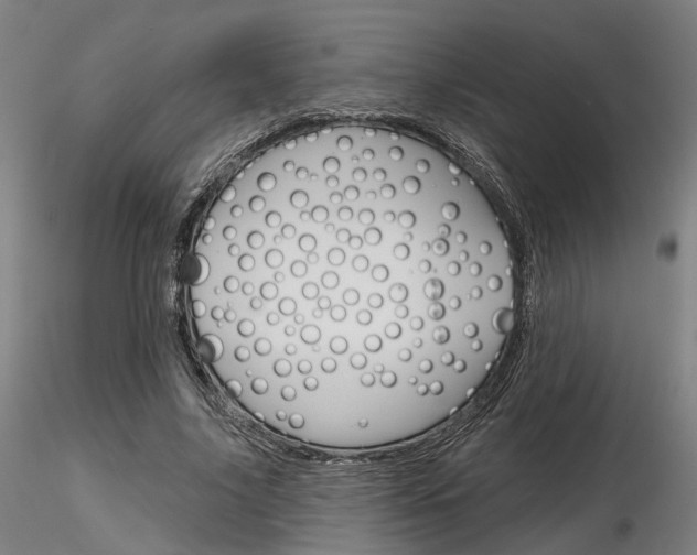 X0000116850635200912220942