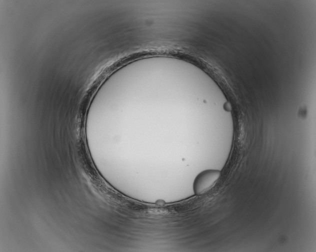 X0000116850636200912220942