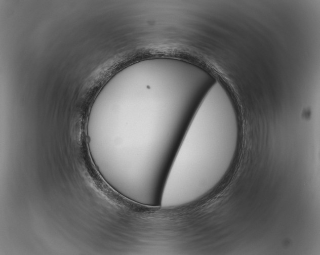 X0000116850637200912220942
