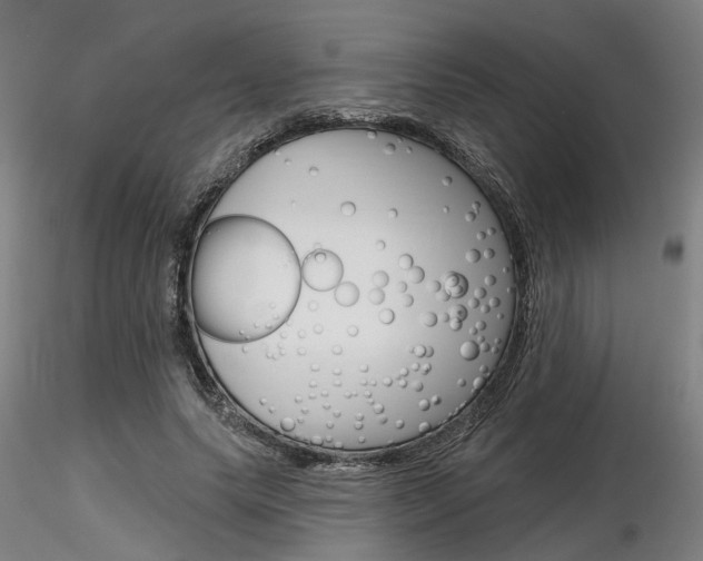 X0000116850639200912220942