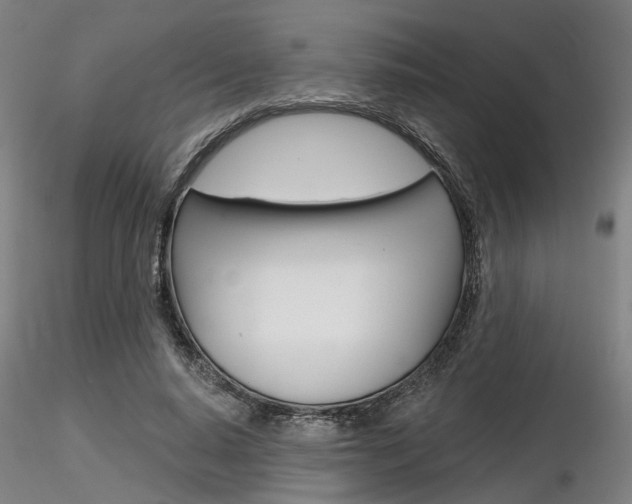 X0000116850640200912220942