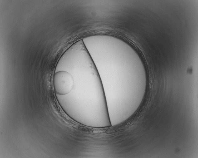 X0000116850641200912220942