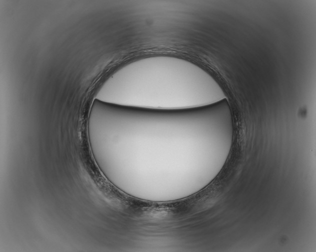 X0000116850643200912220942