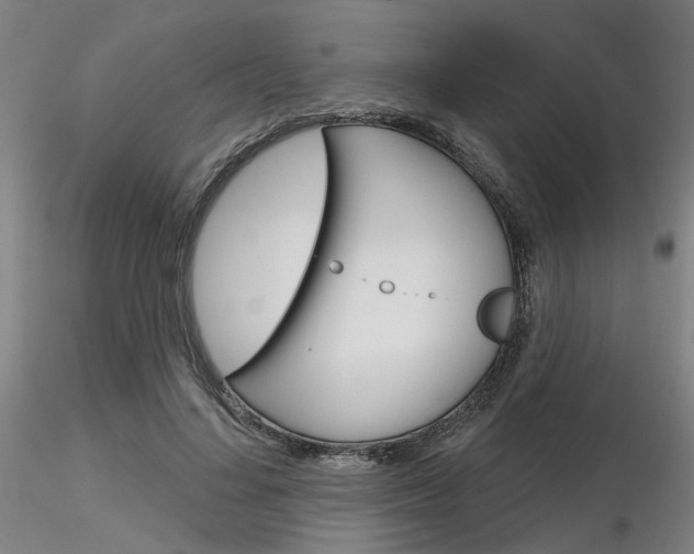 X0000116850644200912220942