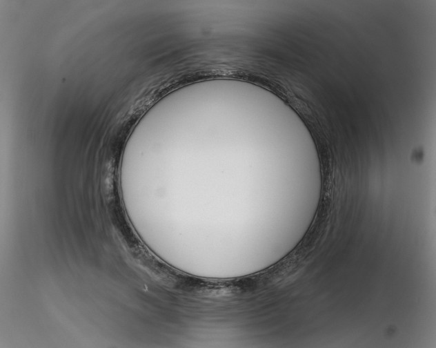 X0000116850646200912220943