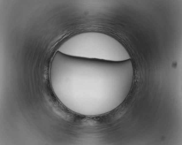 X0000116850648200912220943