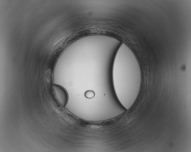 X0000116850649200912220943