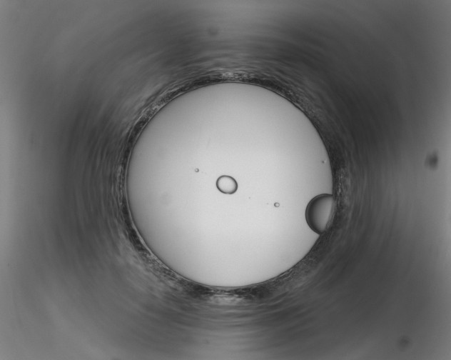 X0000116850650200912220943