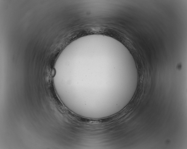 X0000116850651200912220943
