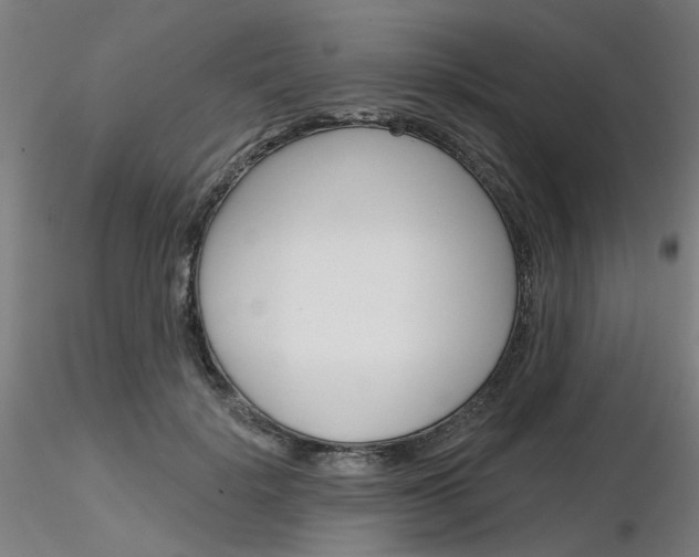 X0000116850652200912220943