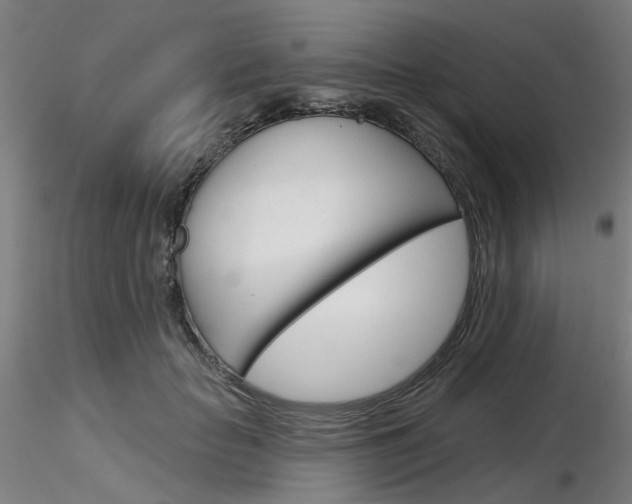 X0000116850653200912220943