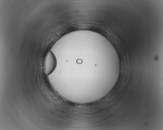 X0000116850655200912220943