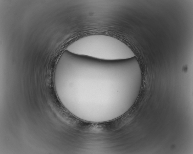 X0000116850656200912220943