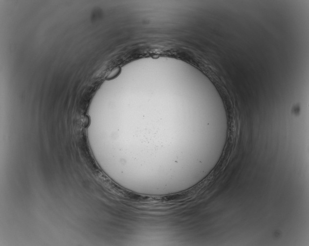 X0000116850657200912220943
