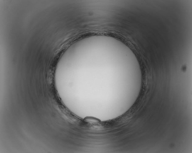 X0000116850658200912220943