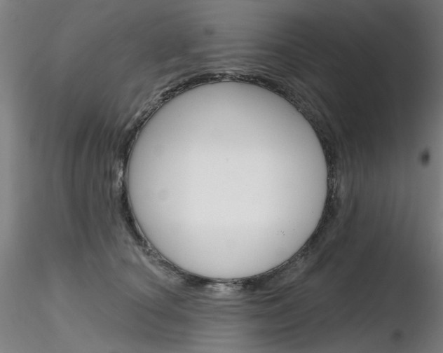 X0000116850660200912220943