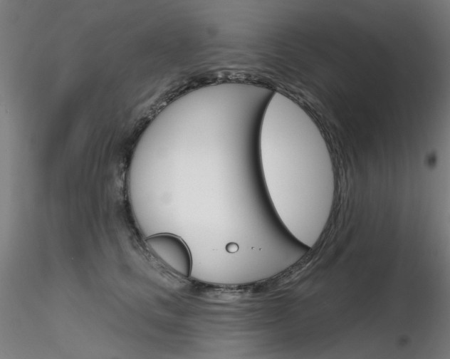 X0000116850661200912220943