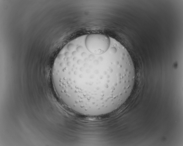 X0000116850662200912220943