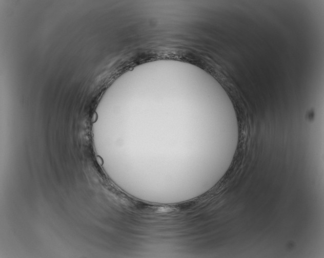 X0000116850663200912220943