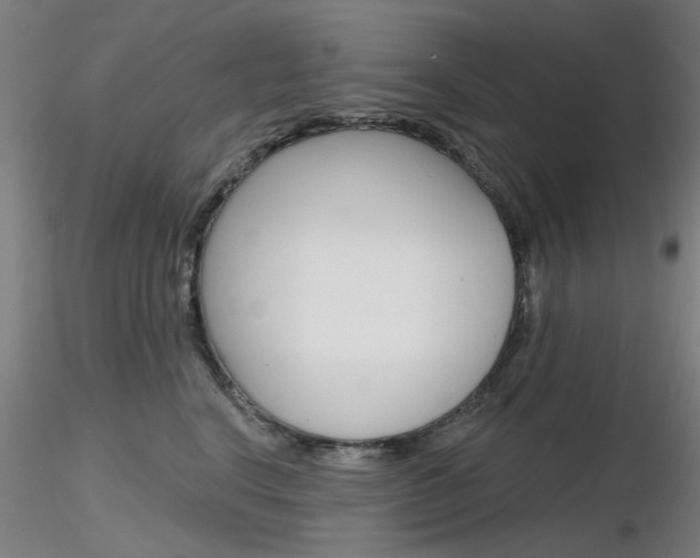X0000116850664200912220943