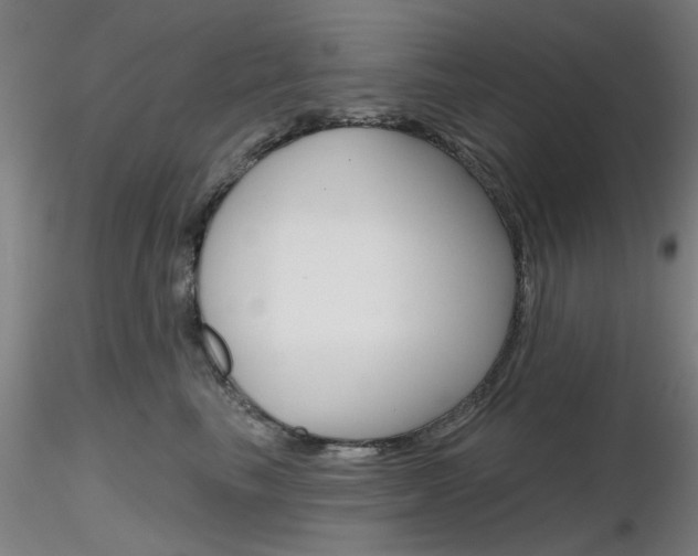 X0000116850665200912220943