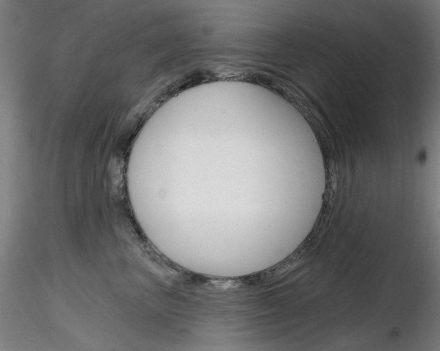 X0000116850667200912220943