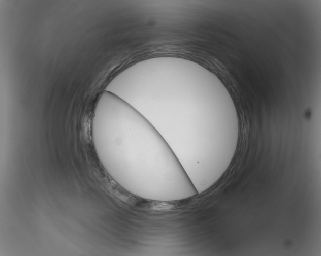 X0000116850669200912220943