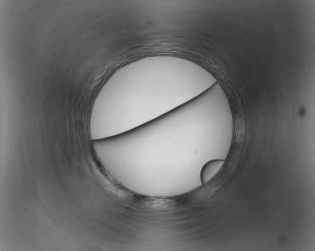 X0000116850670200912220943