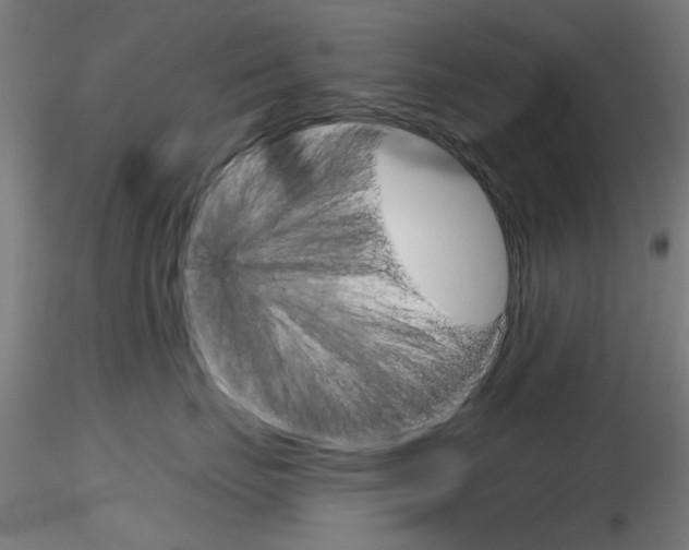 X0000116850671200912220943