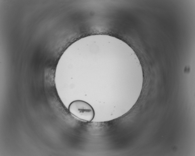 X0000116850672200912220943
