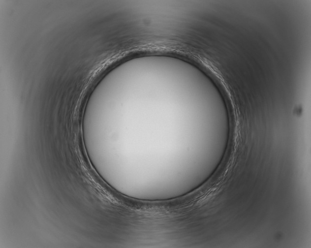 X0000116850673200912220942